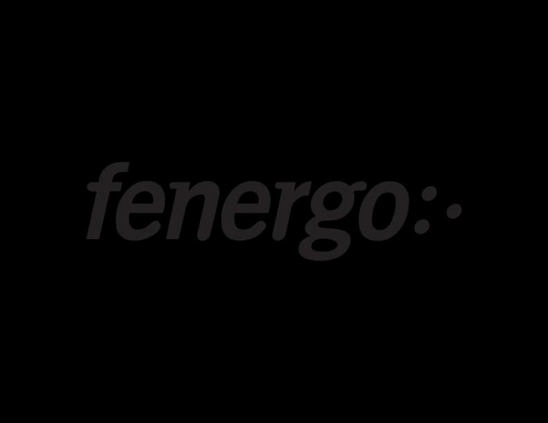 Fenergo